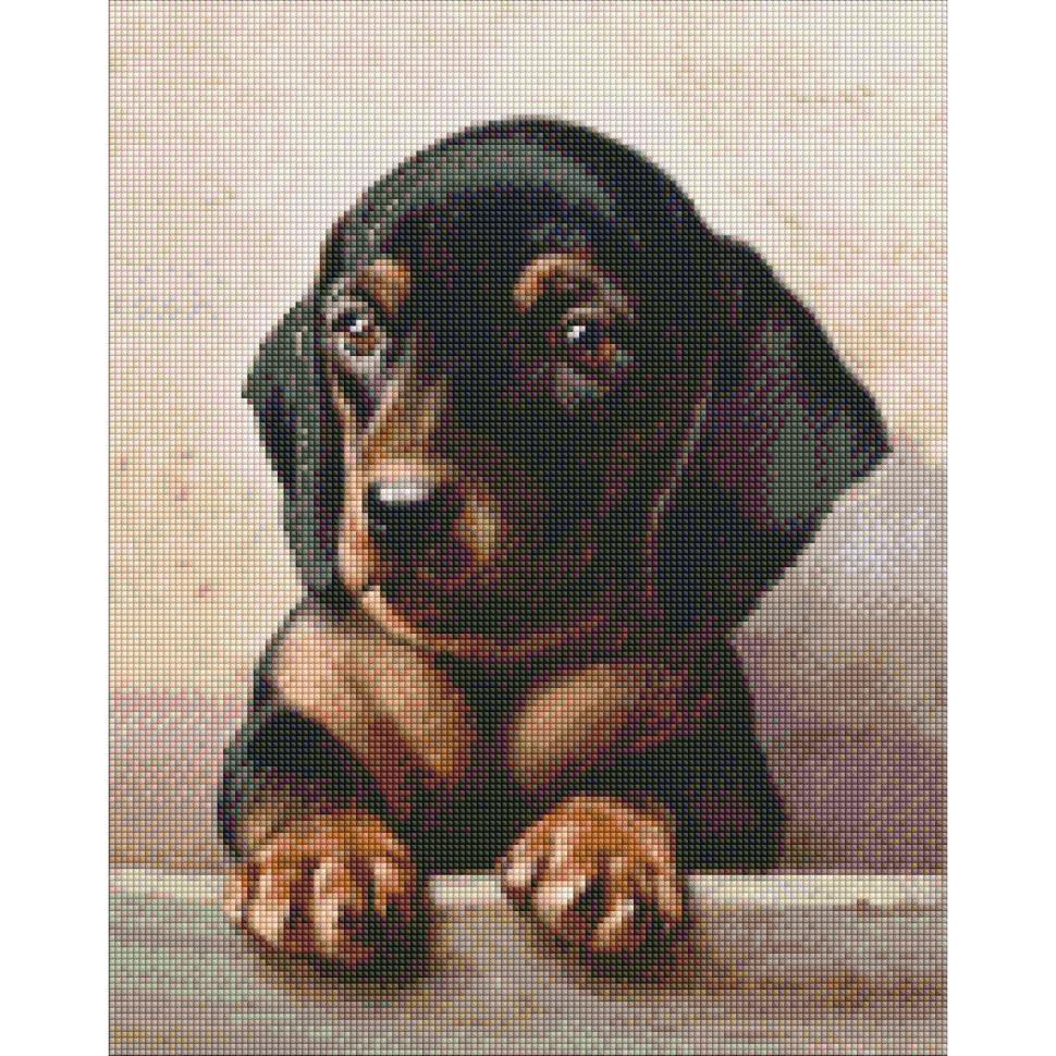 Алмазная мозаика Идейка Преданный взгляд 40x50 см (AMO7296)