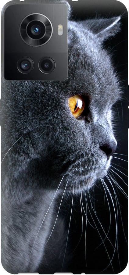 Чехол на OnePlus 10R Красивый кот (3038u-2627-42517)