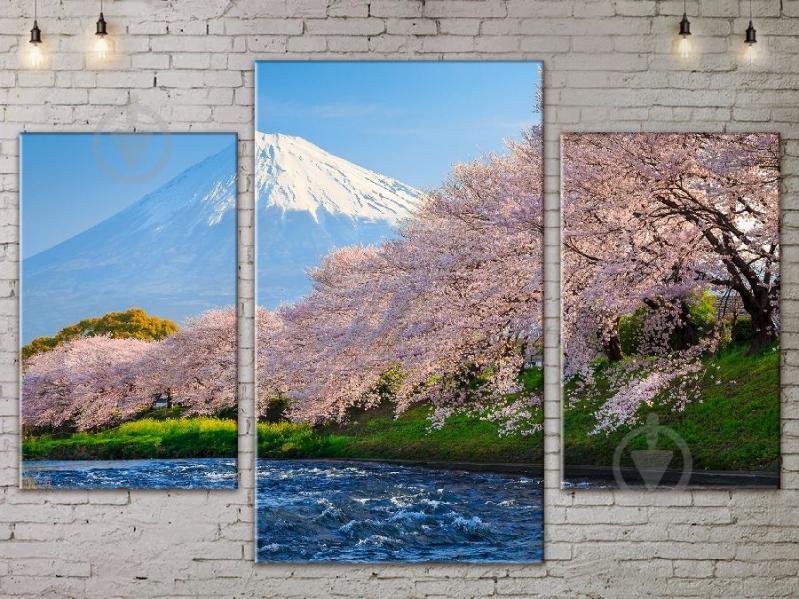 Модульная картина ArtStar ADNA0090 размер 70 х 105 см