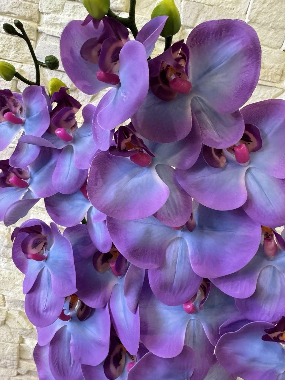 Вазон орхідея ПЛАСТМАКС латексна на дві гілки Фіолетовий (O25) - фото 3