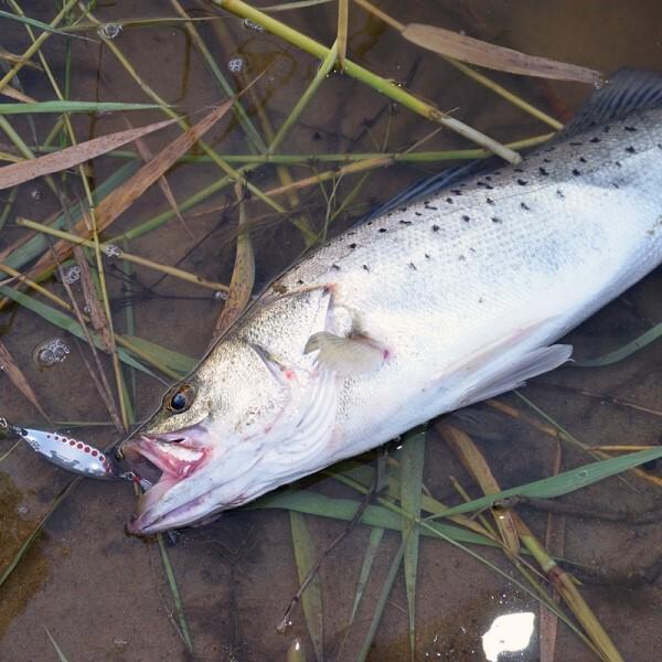 Набір для лову хижака 5 шт. (L00011) - фото 9 Набір для лову хижака 5 шт. (L00011) - фото 9