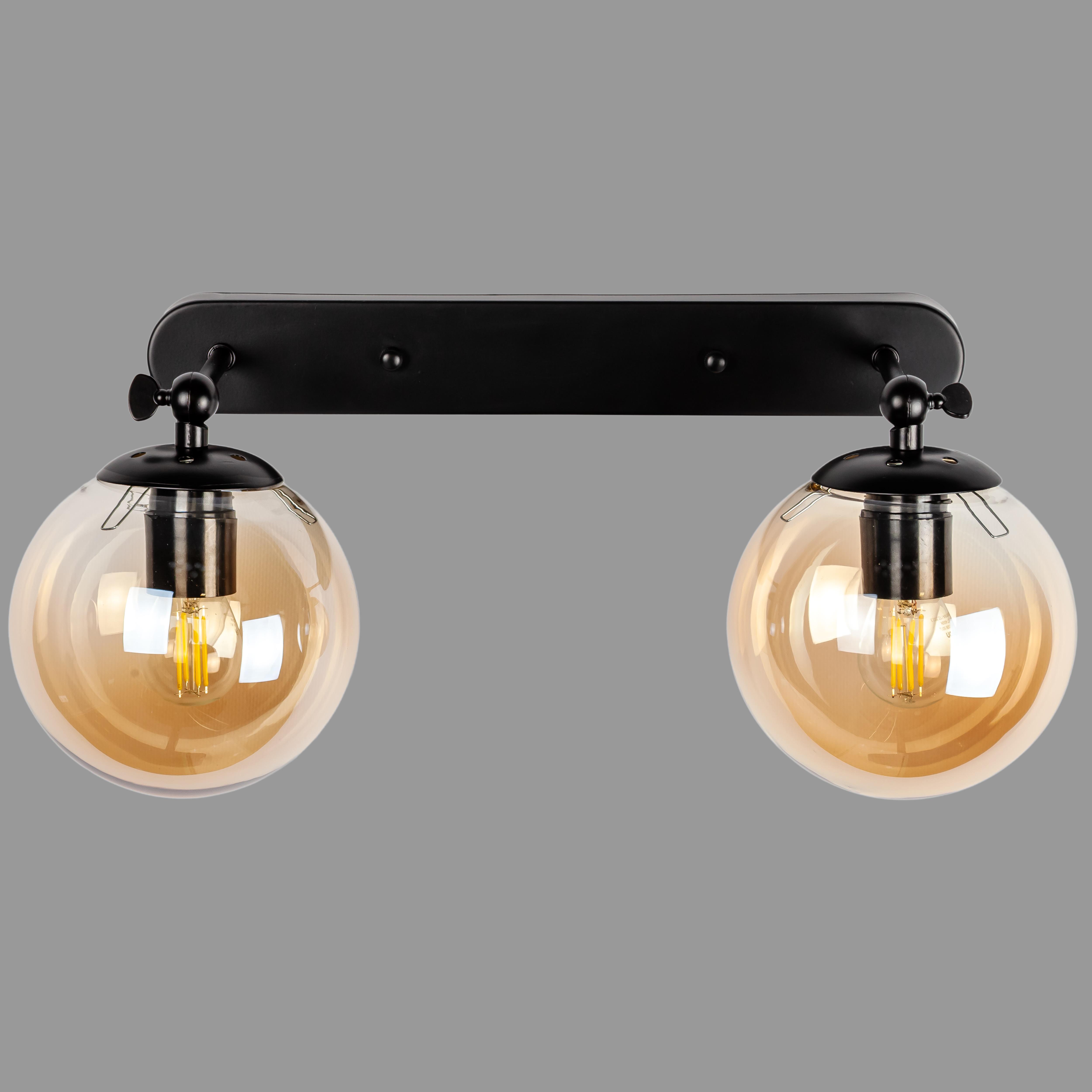 Светильник/бра настенный на 2 лампы Черный (56-WPR150F-2 BK+BR)