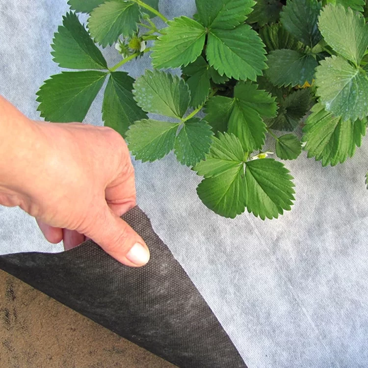 Агроволокно з перфорацією 3 отвори Agreen 50 г/м2 1,07х100 м Чорно-білий (19060) - фото 5