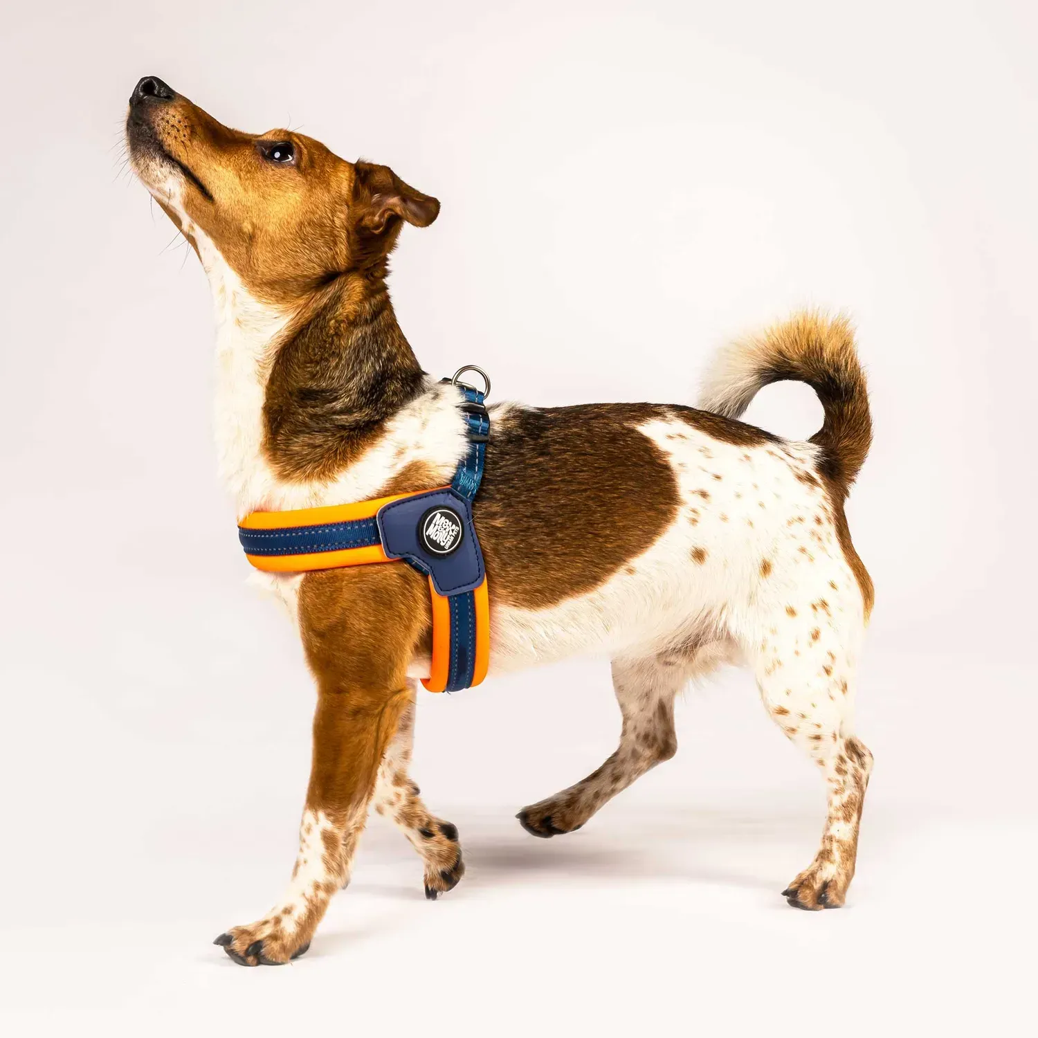 Шлейки для собак Max & Molly Q-Fit Harness Matrix XXS Orange (213030) - фото 4