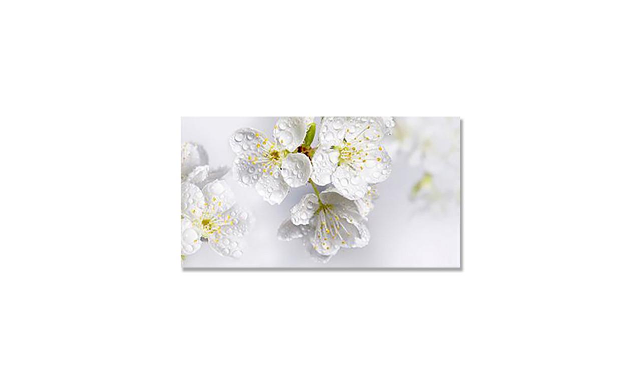 Наклейка виниловая на стол Zatarga Белые цветы вишни 650х1200 мм (1267839553)