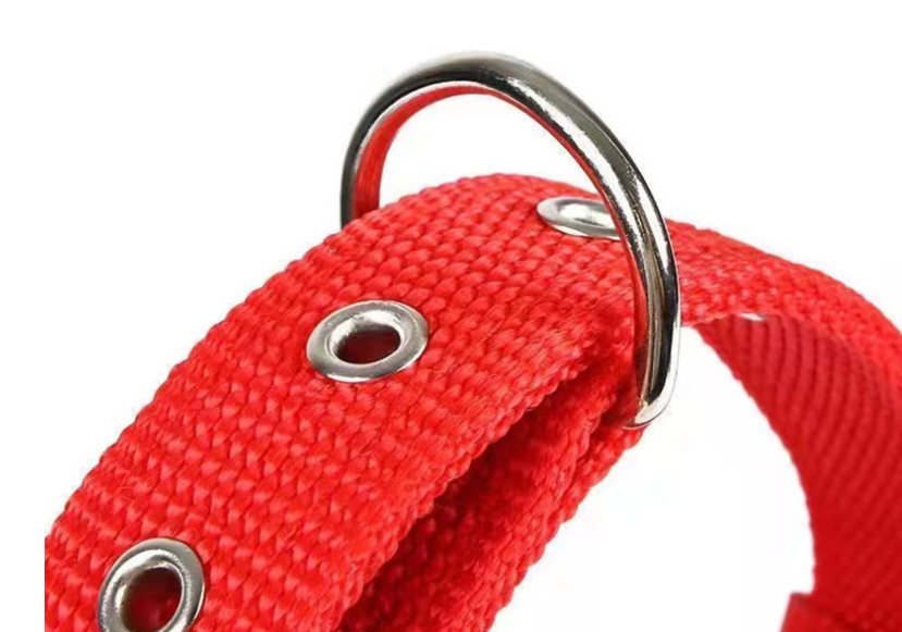 Ошейник для собак с железной пряжкой 28-35 см Красный (1A0070) - фото 3 Ошейник для собак с железной пряжкой 28-35 см Красный (1A0070) - фото 3