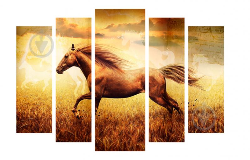 Модульная картина Декор Карпаты 120х80 см Лошадь (M5-271)