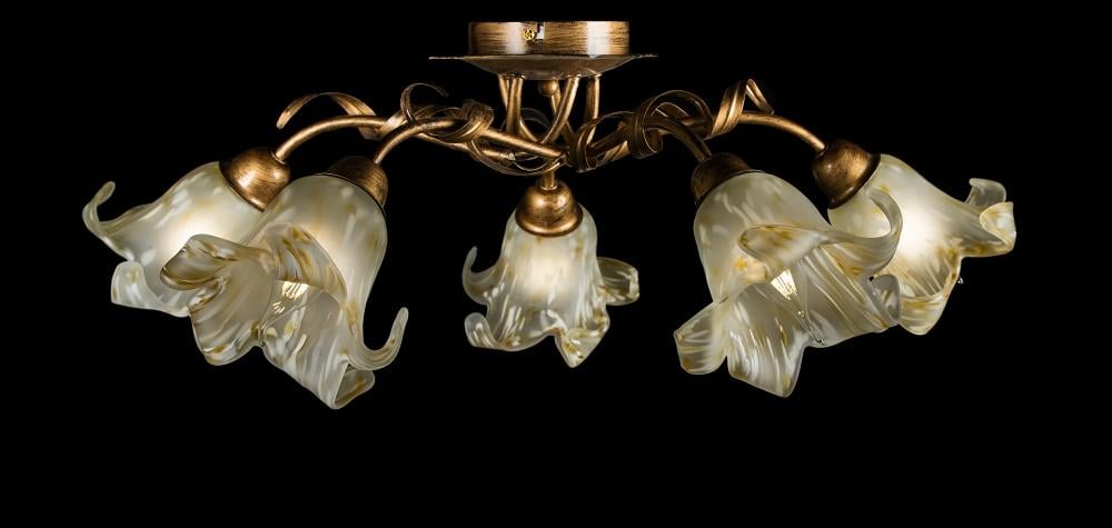 Люстра с плафонами Ray L90749A/5 (IR005885)