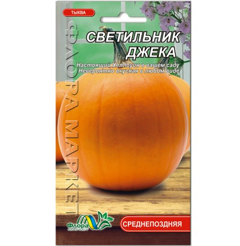 Насіння гарбуза Світильник Джека помаранчевий круглий середньопізній 1 г (26668)