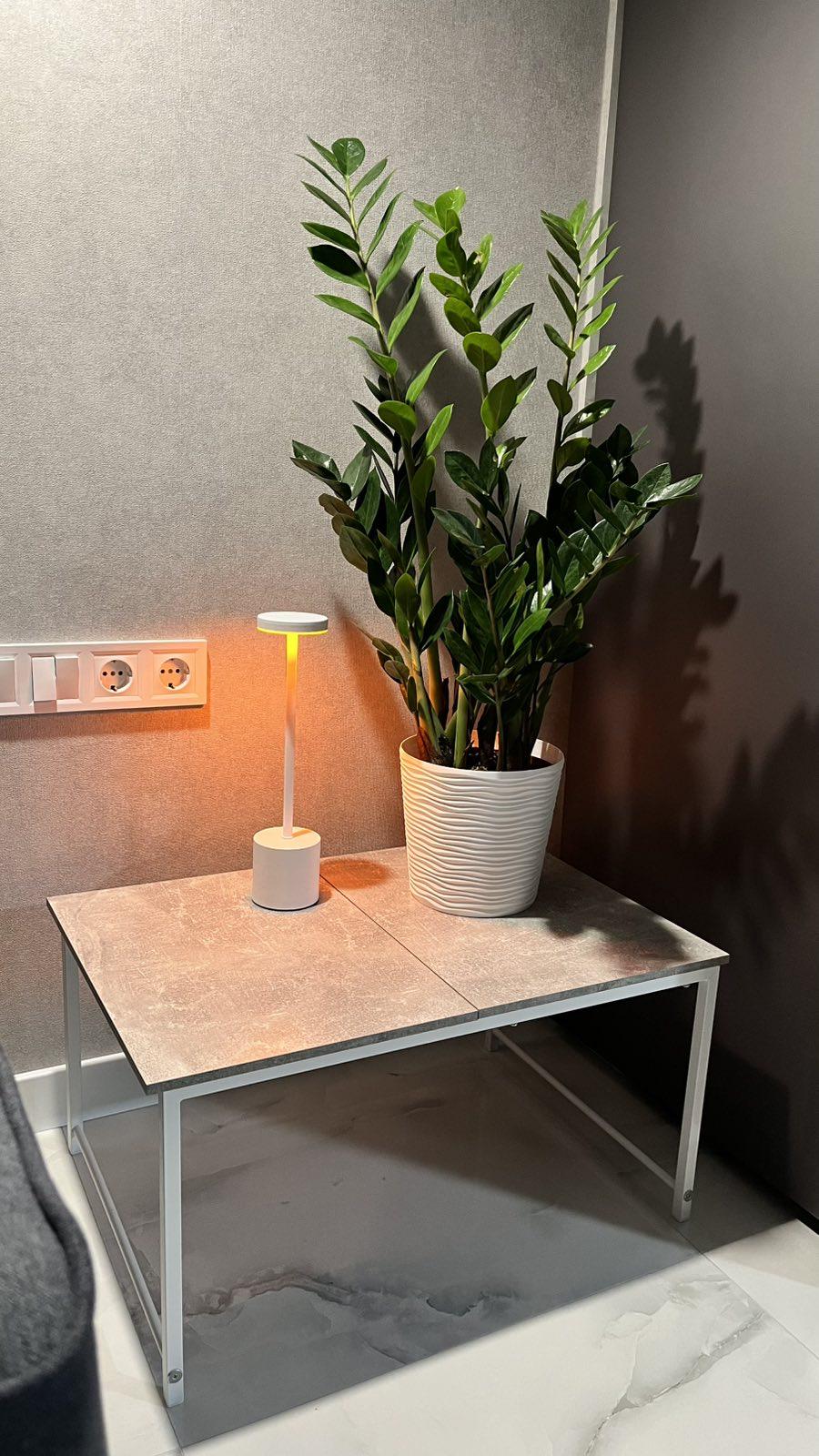 Журнальный стол-трансформер Just Fiji 442х654х327 Ателье светлый/Белый (GATB07040000010) - фото 6 Журнальный стол-трансформер Just Fiji 442х654х327 Ателье светлый/Белый (GATB07040000010) - фото 6