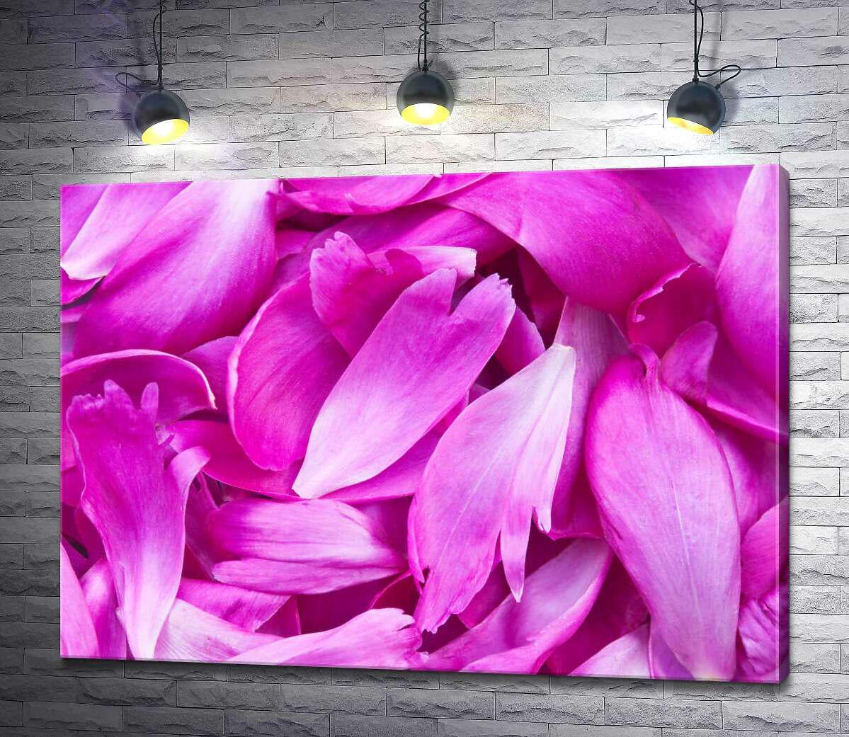 Картина ArtPoster Яркость розовых лепестков пионов 130x95 см Модуль №1 (002798)