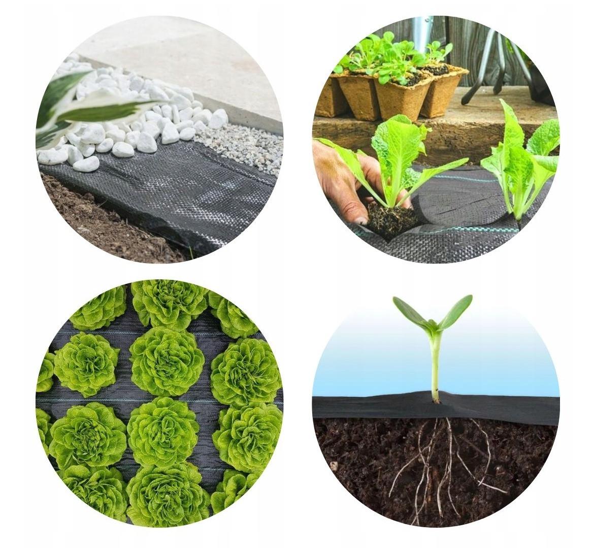 Агротканина від бур'янів GardenLine 1,6Х 50М 70г/м² для полуниці Чорний - фото 3 Агротканина від бур'янів GardenLine 1,6Х 50М 70г/м² для полуниці Чорний - фото 3