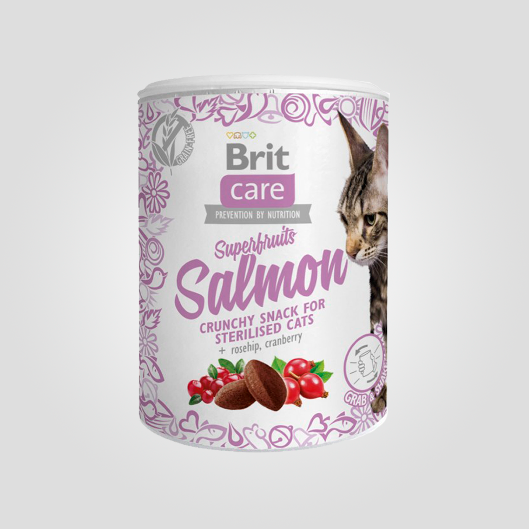 Ласощі для котів Brit Care Cat Snack Superfruits Salmon лосось 100 г (2245995940)