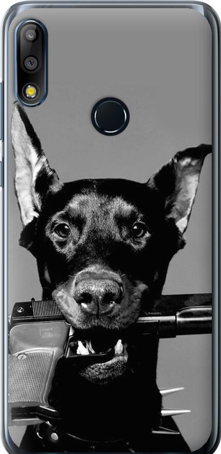 Чехол на Asus Zenfone Max Pro M2 ZB631KL Доберман (2745u-1641-42517) Чехол на Asus Zenfone Max Pro M2 ZB631KL Доберман (2745u-1641-42517)
