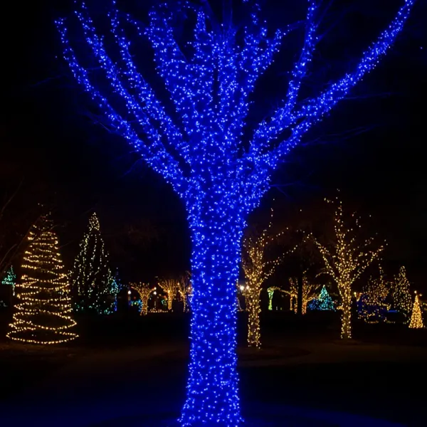 Гирлянда уличная Нить 1000 LED от сети 100 м Синий (21-107-CF1000L100MWBL)