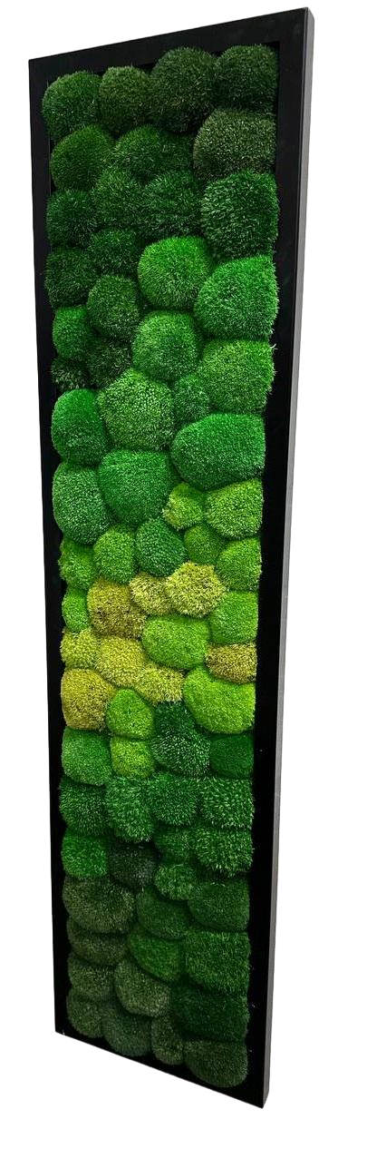 Картина из мха Organic Design Кочка 824 120x30 см (824-120-30) Картина из мха Organic Design Кочка 824 120x30 см (824-120-30)