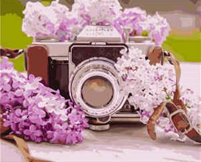 Набор для росписи по номерам Strateg Фотоаппарат с Бугском 40х50 см (VA-1080-mt)