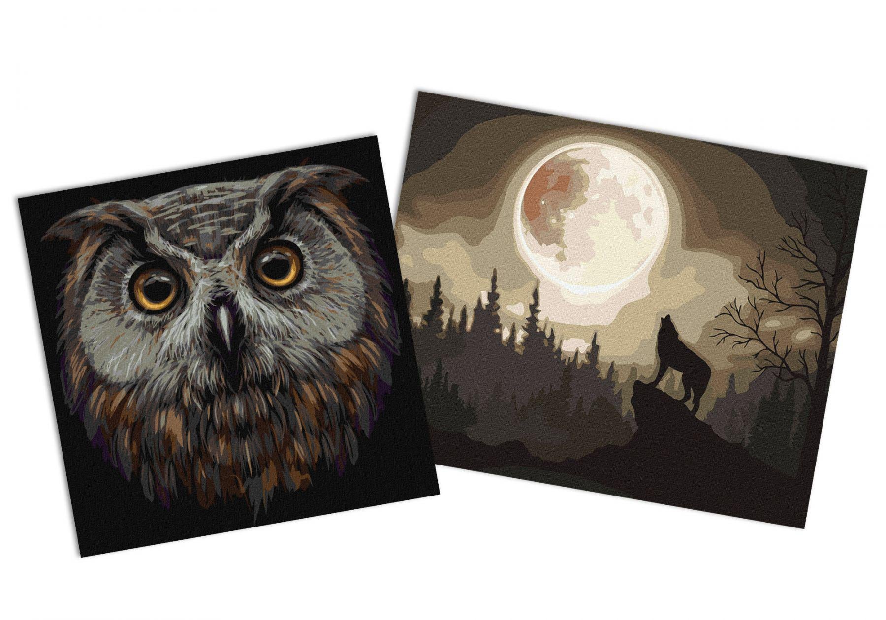 Набор картин по номерам Идейка 2в1 Мистический лес 40x50 см KHO4291 и Птица мудрости 40x40 см KHO4388 (CKHO9188)