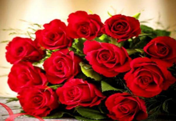 Картина по номерам Josef Otten Цветы Красные розы 40х50 см в термопакете (8135RSB_O-mt)