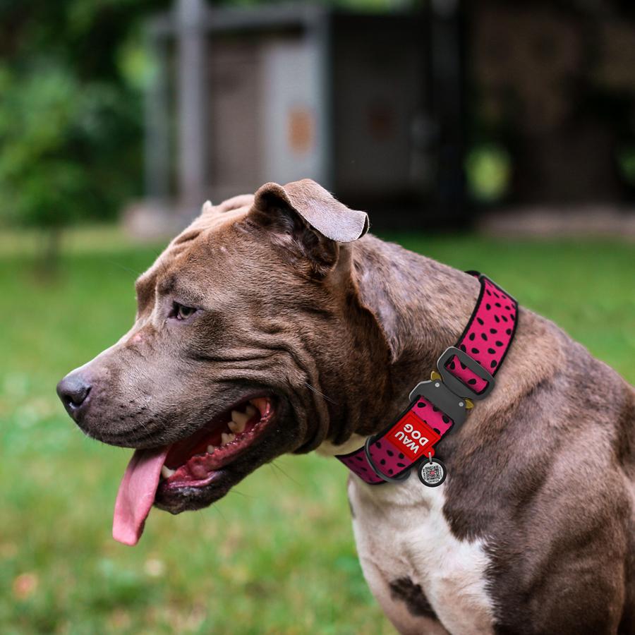 Нашийник для собак з QR-паспортом Waudog Nylon Кавун металева пряжка-фастекс XXL 35 мм 46-70 см Red (4535-0049) - фото 3 Нашийник для собак з QR-паспортом Waudog Nylon Кавун металева пряжка-фастекс XXL 35 мм 46-70 см Red (4535-0049) - фото 3