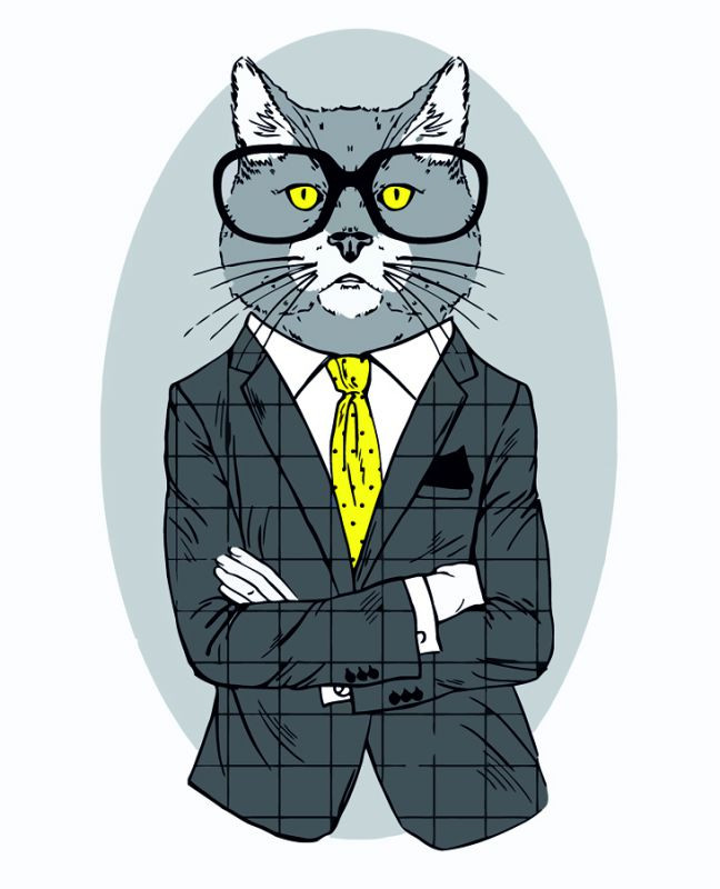 Картина по номерам Rosa Fashion Cat 35х45 см (N00013266)