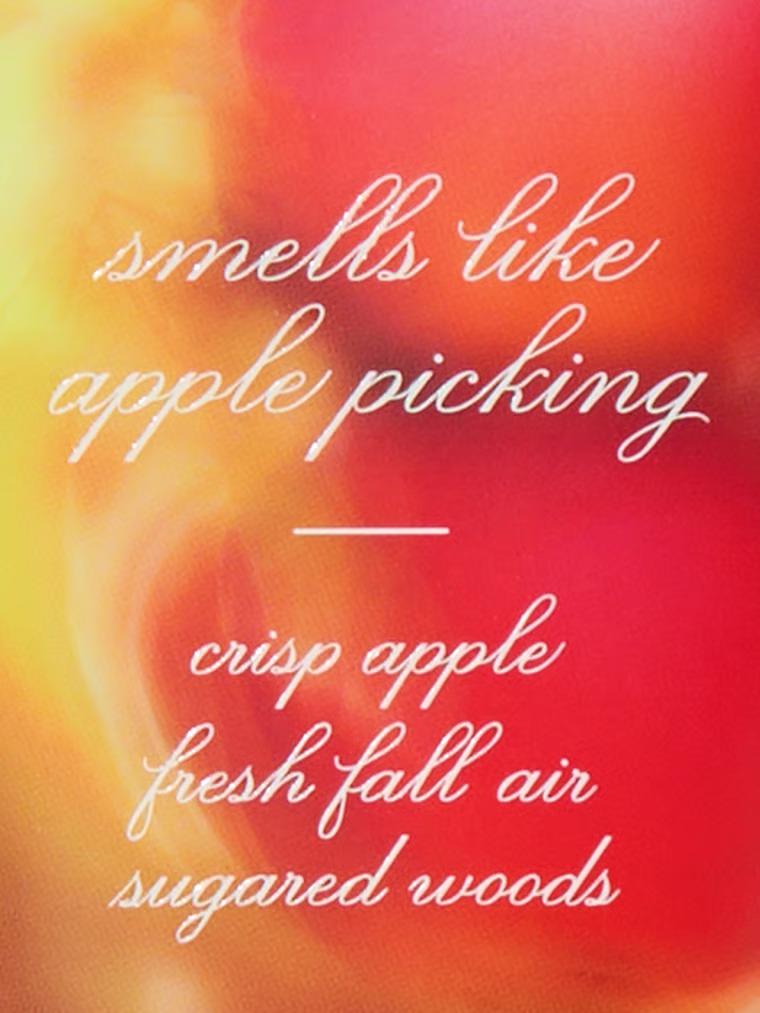 Лосьйон для тіла Victoria's Secret Dreamy Apple Orchard Fragrance Lotion 236 мл (26999129) - фото 3 Лосьйон для тіла Victoria's Secret Dreamy Apple Orchard Fragrance Lotion 236 мл (26999129) - фото 3