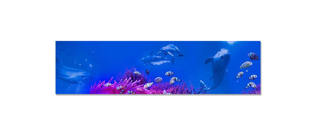 Наклейка виниловая на кухню Zatarga Подводный мир/Дельфин 650х2500 мм (1289776276)