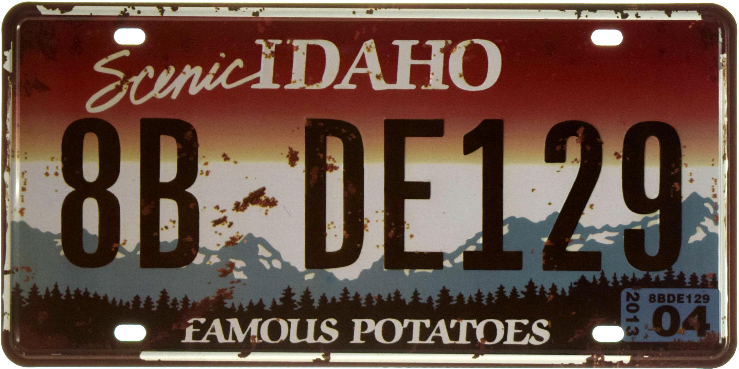 Табличка металлическая Scenic Idaho 8B DE129 15x30 см