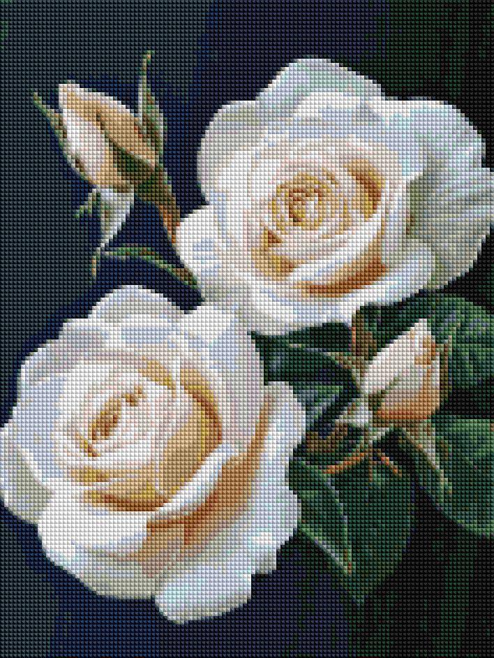Алмазная мозаика Brushme Розы на черном фоне 30x40 см (DRBS1248)