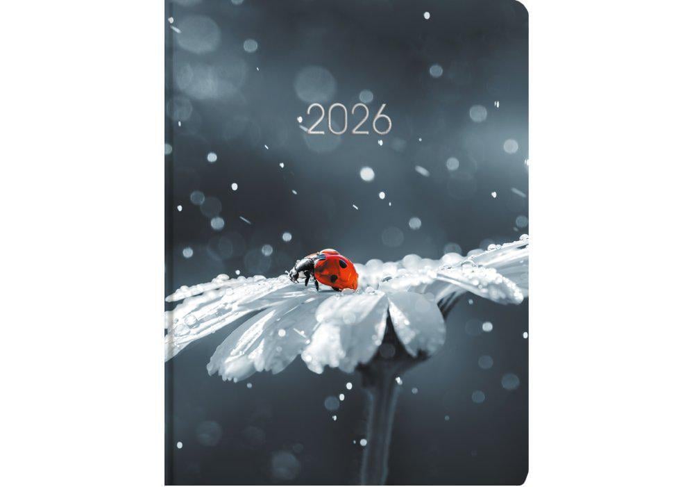 Дневник датированный 2026 Economix Color A5 336 стр. принт (E21899)