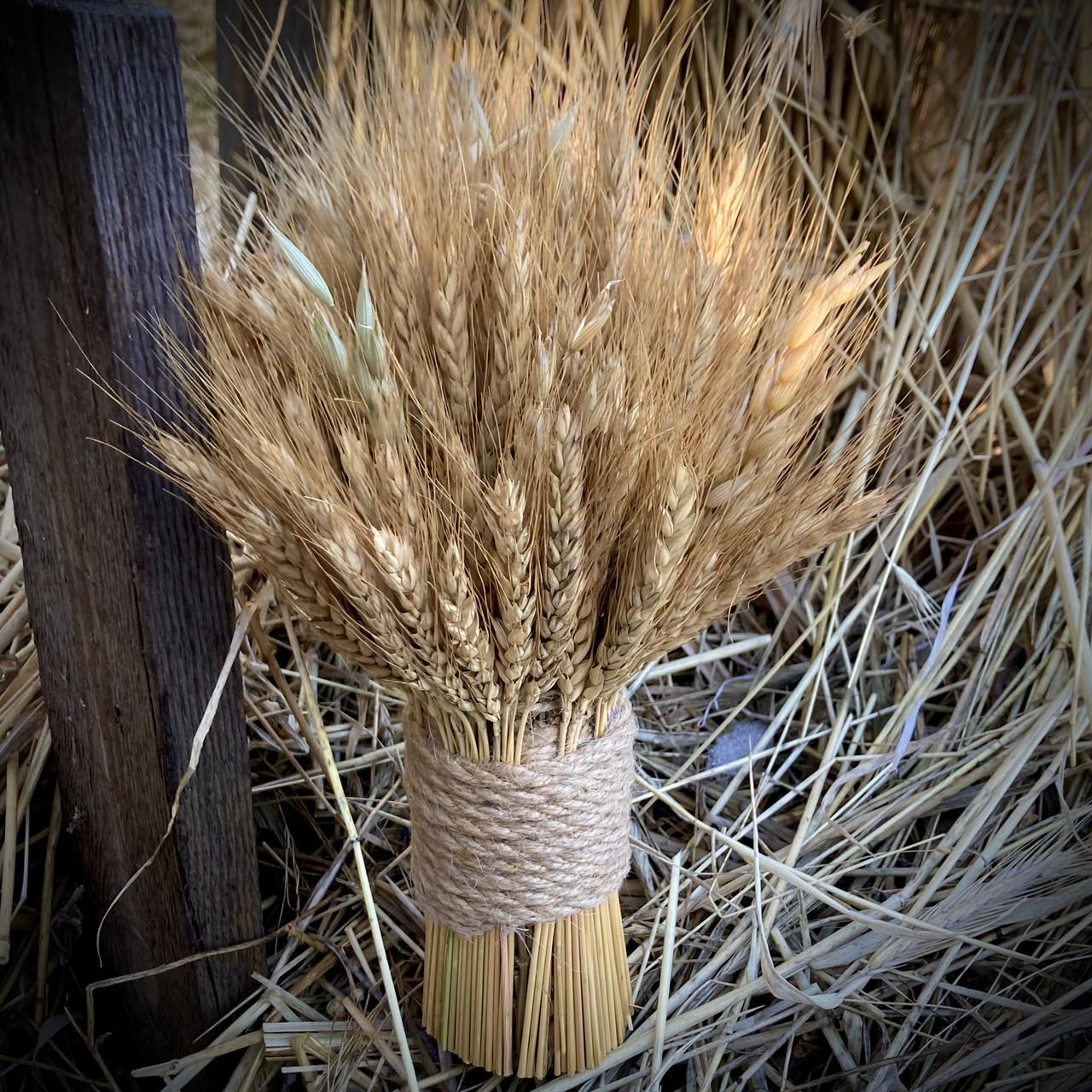 Рождественский дидух из ржаных колосьев и льна 20 см (1893301596) - фото 6 Рождественский дидух из ржаных колосьев и льна 20 см (1893301596) - фото 6