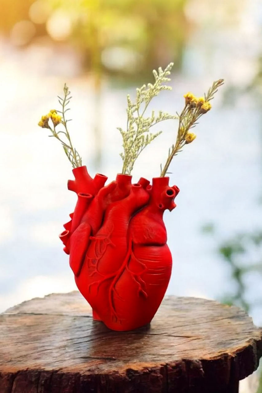Арт-ваза Анатомічне серце 11x20x15 см Червоний (2897773278)