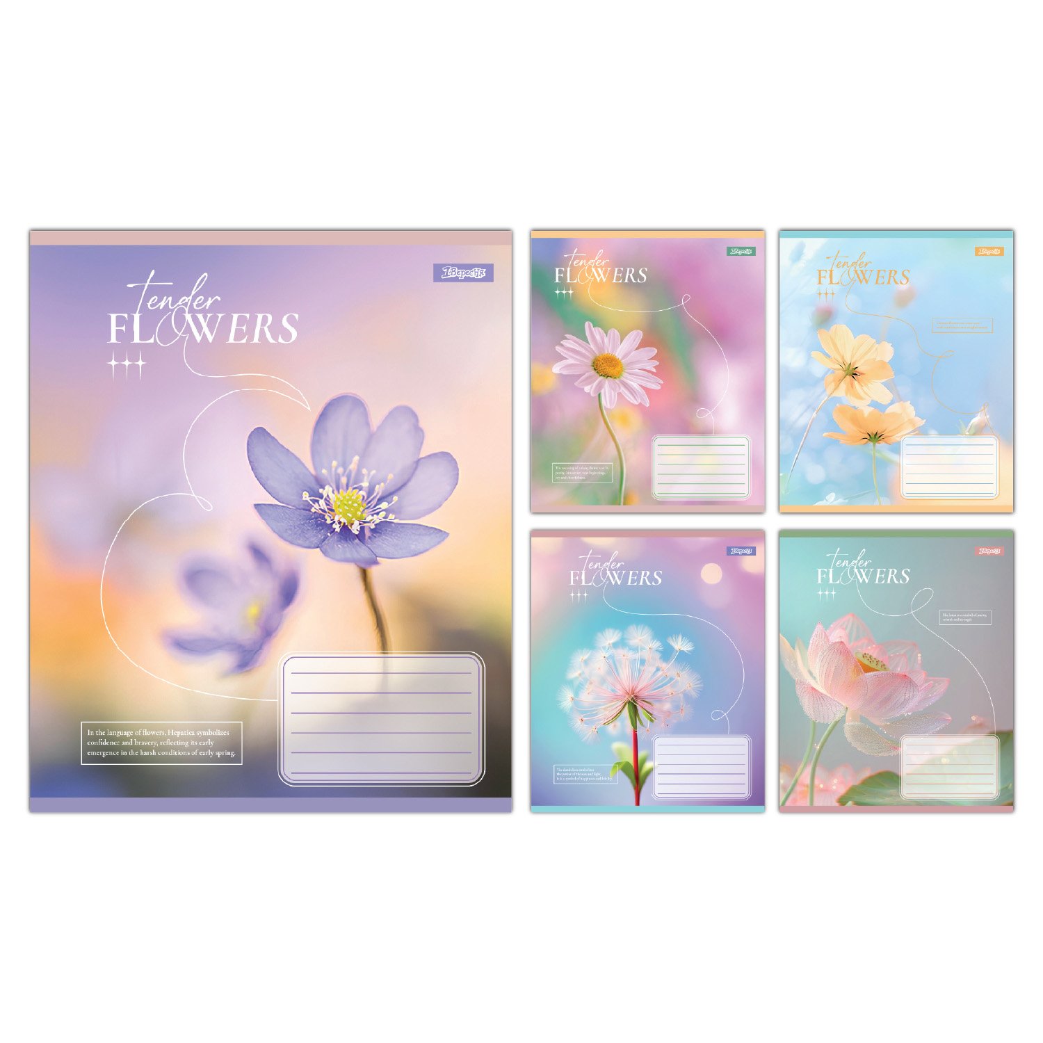 Набор тетрадей школьных 1Март Tender Flowers А5/12 линия 25 шт. (768072)