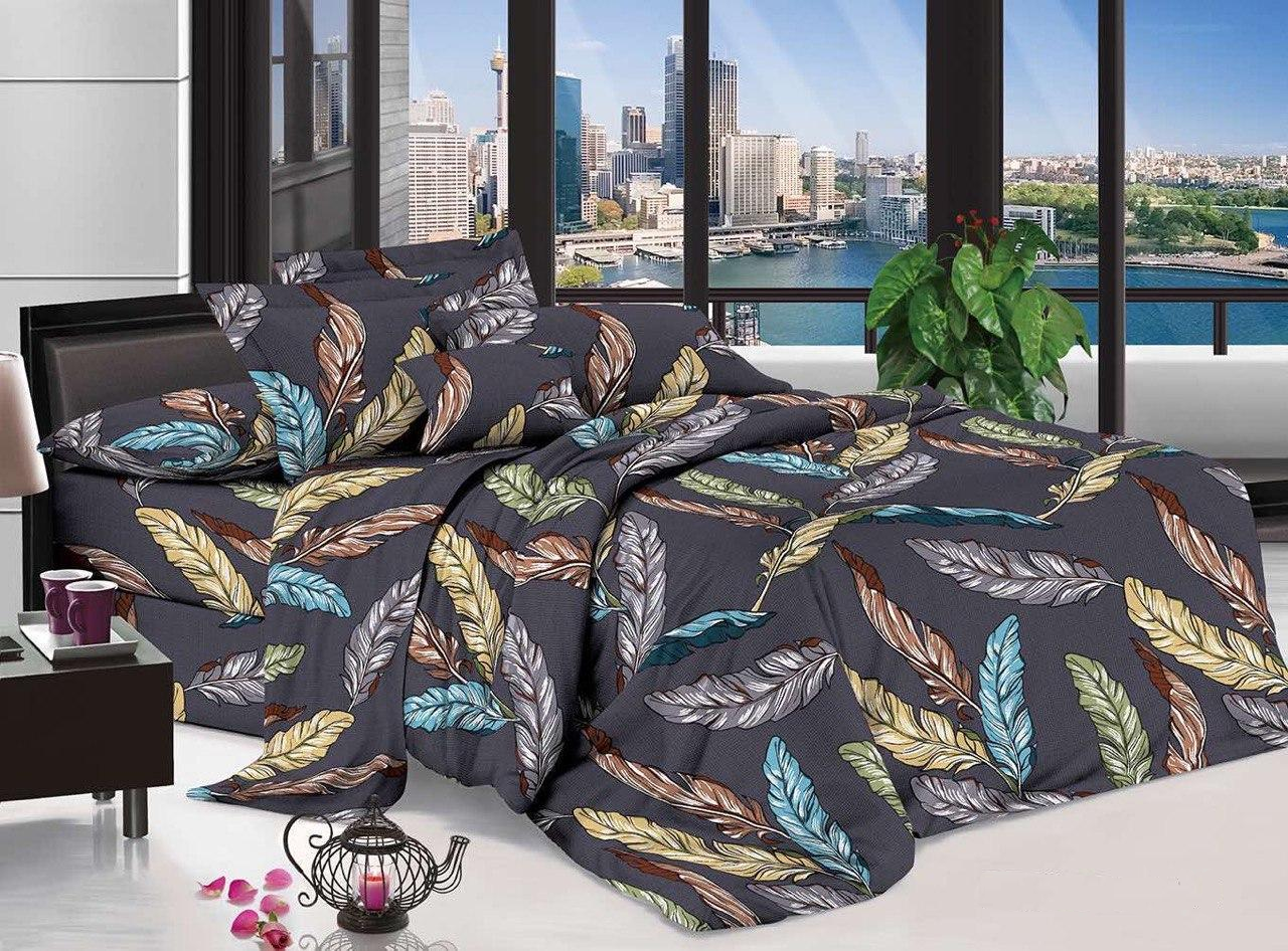 Комплект постельного белья Пестрые перья евро бязь 200x215 см (mc20101211)