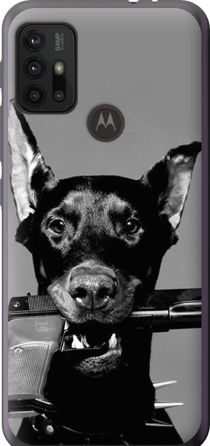 Чехол на Motorola Moto G30 Доберман (2745t-2320-42517) Чехол на Motorola Moto G30 Доберман (2745t-2320-42517)
