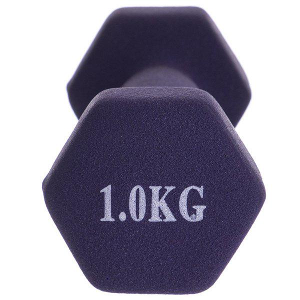 Гантели для фитнеса TA-0001 1 кг Фиолетовый (56508033) - фото 3