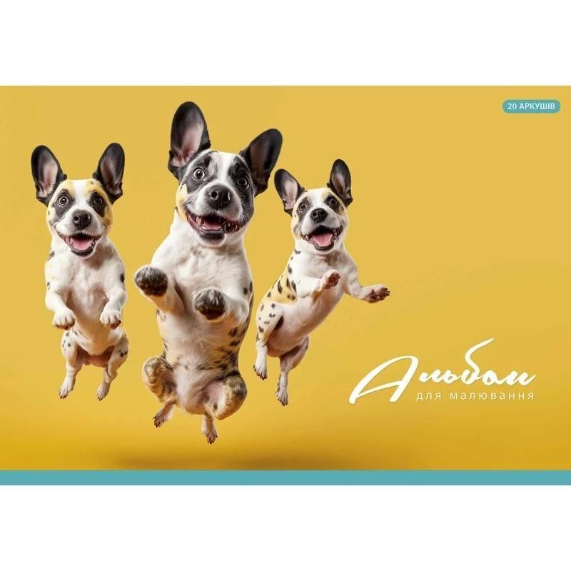 Альбом для малювання Школярик PB-GB-020-465-2 склейка 20 арк. (RLT42684)