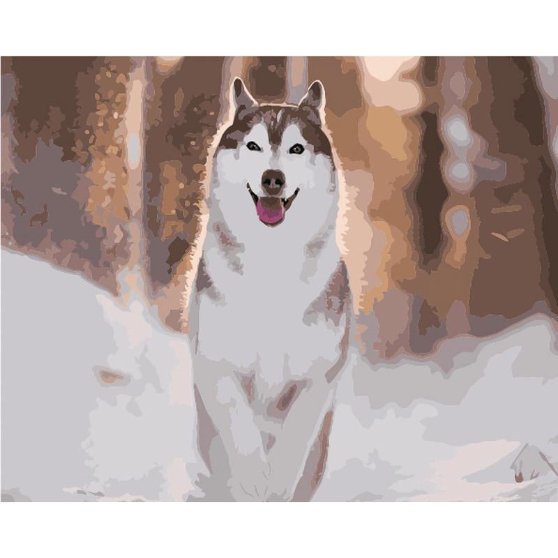 Картина за номерами Strateg Преміум Руда хаскі з лаком та з рівнем 40х50 см (GS1576)