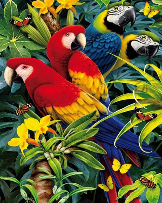 Картина по номерам Mariposa "Красочные Ара" 40x50 см (MR-Q2122)