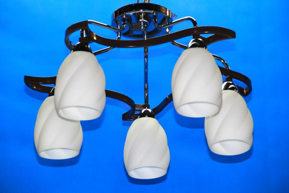 Люстра с плафонами Ray L28011A/5 Черный (IR006360)