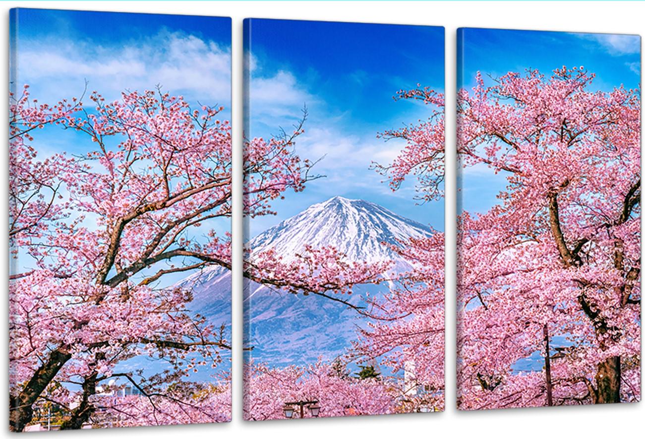 Картина модульная в гостиную/спальню Сакура 53х100 см (ART-254_3A)