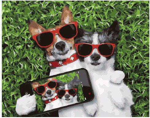 Картина по номерам Brushme Селфи псы (GX25645) Картина по номерам Brushme Селфи псы (GX25645)