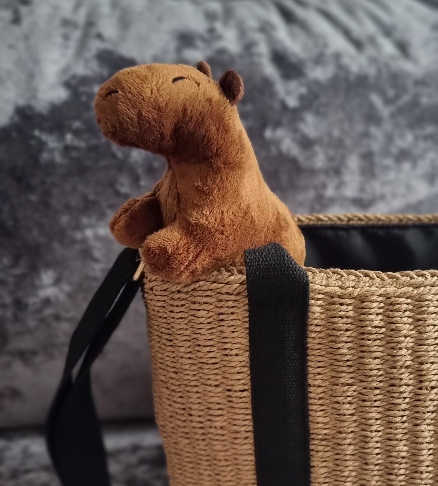 М'яка іграшка капібара 25 см (01_І0202521094) - фото 8 М'яка іграшка капібара 25 см (01_І0202521094) - фото 8