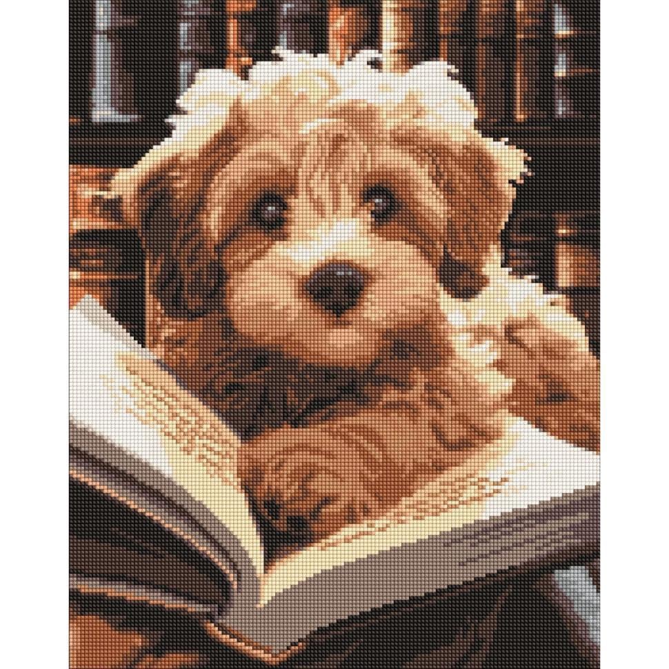Алмазна мозаїка Ideyka Пухнастий читач AMO7973 40х50 см (RLT46669)