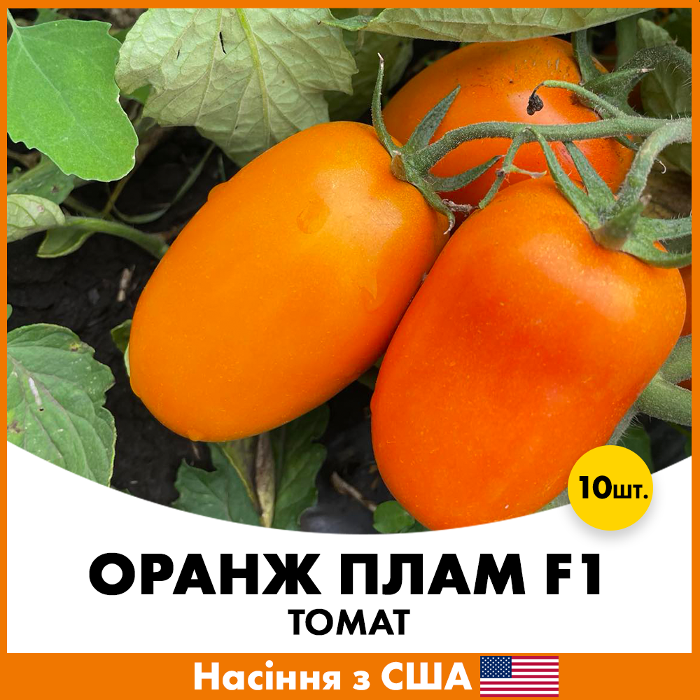 Семена томата Spark Seeds Оранж Плам F1 10 шт. (jkl17)