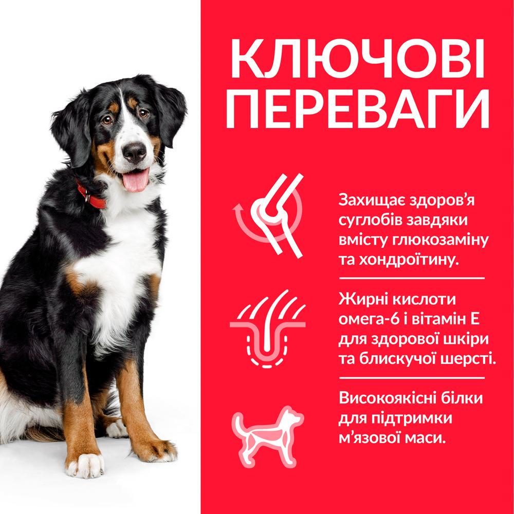 Корм для собак Hill’s Science Plan Large Breed больших пород с курицей 14 кг - фото 2 Корм для собак Hill’s Science Plan Large Breed больших пород с курицей 14 кг - фото 2