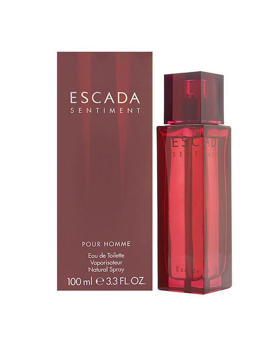 Туалетная вода для мужчин Escada Sentiment Pour Homme 100 мл (380262)