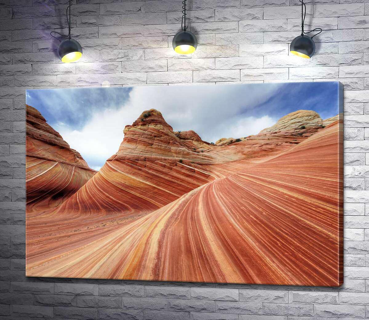 Картина ArtPoster Плавные изгибы слоев скал на склоне Койот-Бют (Coyote Buttes) 100x67 см Модуль №1 (002701)