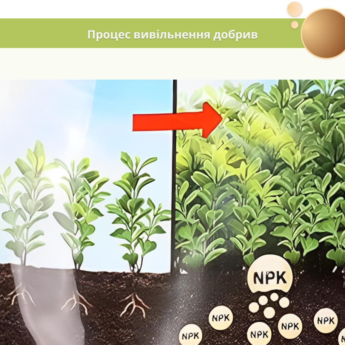 Тверде добриво Compo TURBO миттєвого ефекту для швидкого зростання 4 кг (A-028909) - фото 3 Тверде добриво Compo TURBO миттєвого ефекту для швидкого зростання 4 кг (A-028909) - фото 3