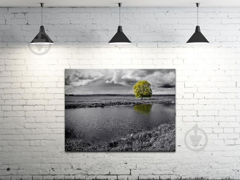Картина на холсте ProfART S4560-p136 60 x 45 см Дерево (hub_YeYt70022)